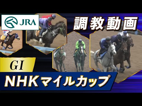 【調教動画】2024年 NHKマイルカップ｜JRA公式