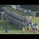 2024 NHK MILE CUP (G1) | JRA Official