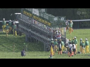 2024 NHK MILE CUP (G1) | JRA Official