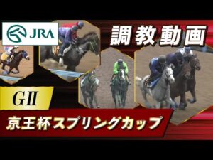 【調教動画】2024年 京王杯スプリングカップ|JRA公式