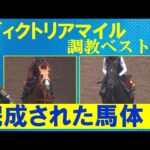 「混戦だけど悩まなかった!」ナミュール、マスクトディーヴァ、スタニングローズなど実力馬が激突!競馬エイト・高橋賢司トラックマンの調教解説<ヴィクトリアマイル(GⅠ)>