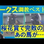 「うまく立て直した!」二冠を狙うステレンボッシュの前にライバルが!?競馬エイト・高橋賢司トラックマンの調教解説<オークス(GⅠ)>