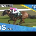 2024年 葵ステークス(GⅢ) ピューロマジック 実況:川島壮雄【カンテレ公式】