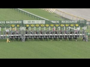 2024 MEGURO KINEN (G2) | JRA Official