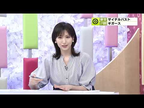 ダート競馬JAPAN｜第51回　若潮スプリント　東海優駿　展望｜NAR公式