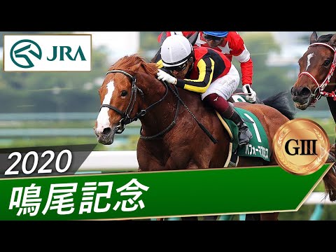 2020年 鳴尾記念（GⅢ） | パフォーマプロミス | JRA公式