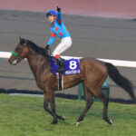ブラストワンピースが馬術競技で頑張る姿を池添と和田が見守る
