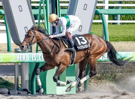 ウィリアムバローズ坂井逃げ有利の馬場で何故か控えるｗｗ