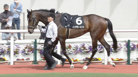 【競馬予想】第72回京都新聞杯(GⅡ) /2024