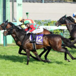 【競馬予想】[6]第91回日本ダービー(GⅠ) /2024