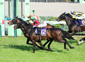 【競馬予想】[6]第91回日本ダービー(GⅠ) /2024