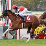 【競馬予想】[2]第85回オークス(GⅠ) /2023