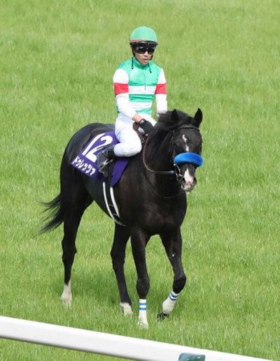 【悲報】ドゥレッツァ右第1指骨剥離骨折が判明　3カ月以上の休養