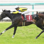 【競馬予想】[1]第19回ヴィクトリアマイル(GⅠ) /2024