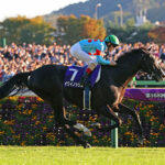 ルメール「23年の天皇賞秋はイクイノックスにとっては未勝利戦みたいなもの」