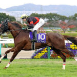 【競馬予想】[2]第74回安田記念(GⅠ) /2024