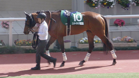 【平安S】ミッキーヌチバナ太宰「この馬はまだ何か隠しているものがある」