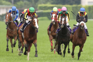 【オークス】ステレンボッシュ、落鉄していた
