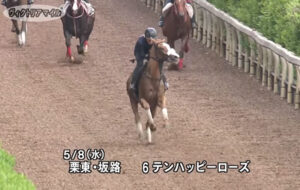 テンハッピーローズの追い切り映像について