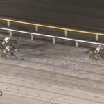 【かしわ記念2024】結果・動画/シャマルが逃げ切りV