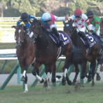 G1馬ドルチェモアさんがまた転厩 須貝(栗東)→上原佑(美浦)→高橋一(栗東・今年開業)