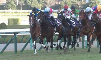 G1馬ドルチェモアさんがまた転厩　須貝(栗東)→上原佑(美浦)→高橋一(栗東・今年開業)