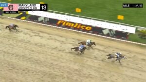 【プリークネスステークス2024】結果・動画/シーズザグレイが逃げ切る
