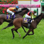 チェルヴィニアのレーティング115!オークス馬として歴代2位