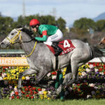 【競馬予想】第7回葵ステークス(GⅢ) /2024