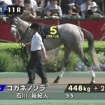 穴党達が推していたコガネノソラとラヴァンダとはなんだったのか