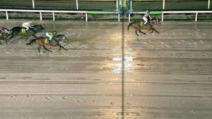 【競馬】かしわ記念は川須騎乗のシャマルがＶ