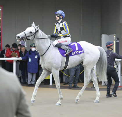 フェブラリーSで2着のガイアフォースが安田記念に参戦