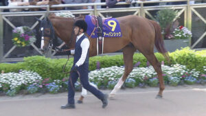 11着アーバンシック横山武史「前有利の馬場なのは承知であの位置にした」