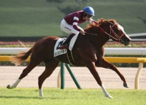 シンエンペラー凱旋門賞挑戦決定!ステップに愛チャンピオンS