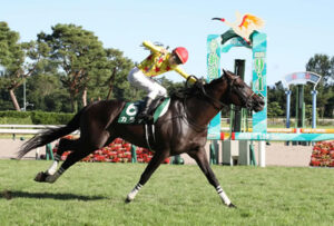 重賞3勝馬カラテ、辻野厩舎から音無厩舎に転厩
