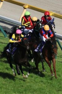 【NHKマイルC】ボンドガール17着武豊「アンラッキーだった」