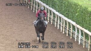 【鳴尾記念2024】追い切り/動きを見極め勝利に近づけ
