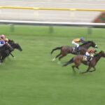 【オークス2024】結果・動画/チェルヴィニアが外から差し切る