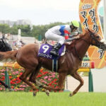 【ヴィクトリアマイル】大波乱!14番人気テンハッピーローズが突き抜けV!人馬共にG1初制覇