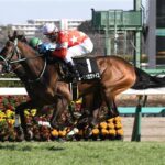 ルージュエヴァイユは川田で宝塚記念