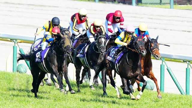 2着アスコリピチェーノ、ルメール「すごくいい競馬だった。いいポジションが取れた」