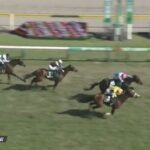 【競馬】新潟大賞典は斎藤騎乗のヤマニンサルバムがV