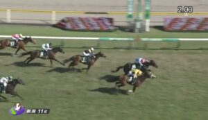 【競馬】新潟大賞典は斎藤騎乗のヤマニンサルバムがＶ