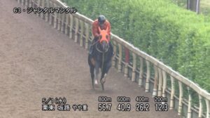 【NHKマイルカップ2024】追い切り/抜群の動きを見せたのは