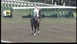 今村聖奈、今日の依頼わずか1鞍→　返し馬で落馬して除外　負傷のため明日は全て乗り替わり