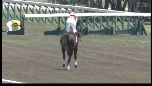 今村聖奈、今日の依頼わずか1鞍→　返し馬で落馬して除外　負傷のため明日は全て乗り替わり