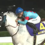 羽田盃馬アマンテビアンコ、骨瘤発症で東京ダービーは回避か 補欠サトノエピックが出走へ
