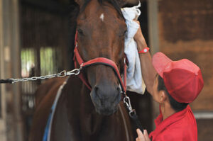 厩務員労組、ダービー前日に怒りのスト決行！出走馬に影響は否めない模様
