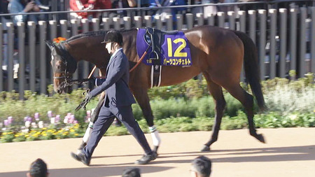 【六社S】ダービー3着ハーツコンチェルト3勝クラスで馬券外ｗｗｗ