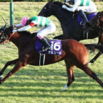 【競馬予想】[3]第19回ヴィクトリアマイル(GⅠ) /2024